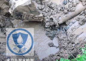 新丰县水管漏水检测公司5